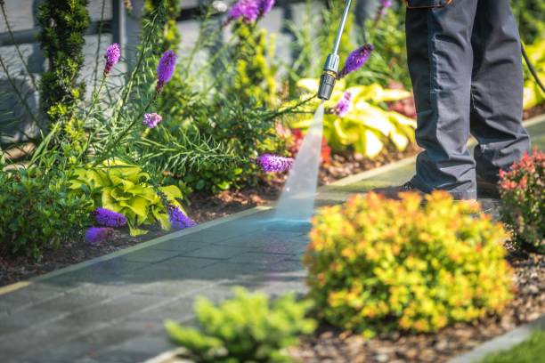 Best Sidewalk and Walkway Cleaning  in Toledo, OH